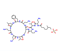 CAS 1405-20-5 Polymyxin B Sulfate